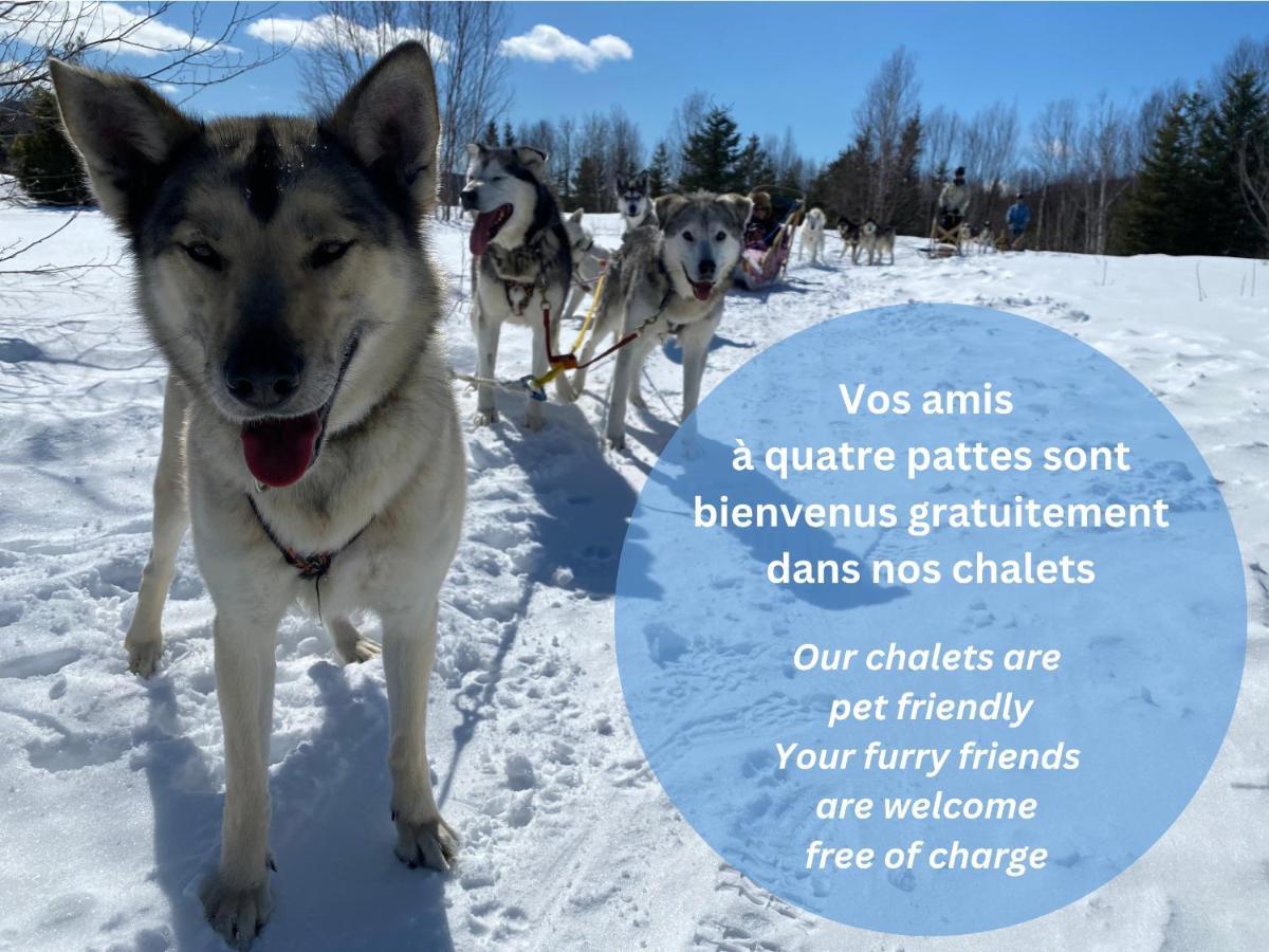 Husky - Chalets De Moh - Jacuzzi La Malbaie Esterno foto